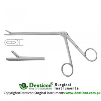 Leminectomy Rongeur Straight - Fenestrated and Serrated Jaws Stainless Steel, 15.5 cm - 6" Bite Size 2 x 12 mm 